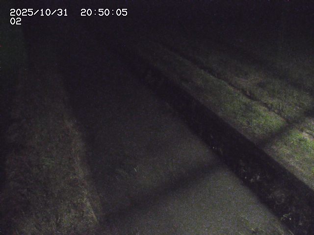 大倉川12025/11/01 0:00:00