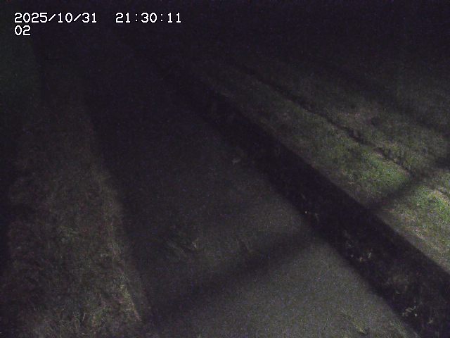 大倉川12025/11/01 0:00:00