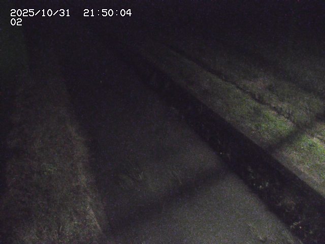 大倉川12025/11/01 0:00:00