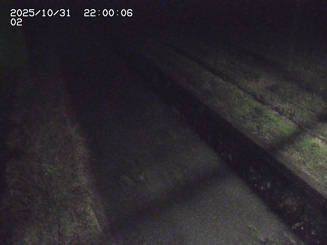 大倉川12025/11/01 0:00:00