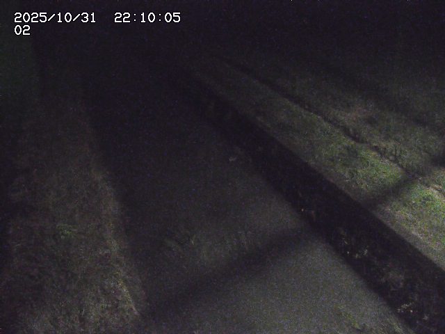 大倉川12025/11/01 0:00:00