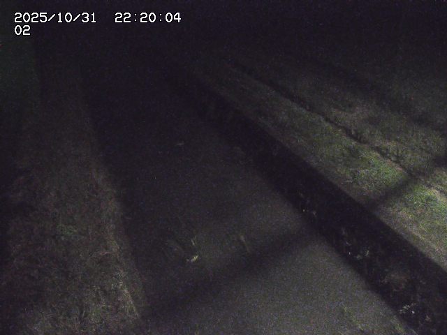 大倉川12025/11/01 0:00:00