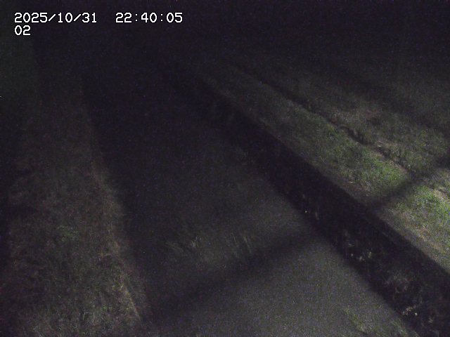 大倉川12025/11/01 0:00:00