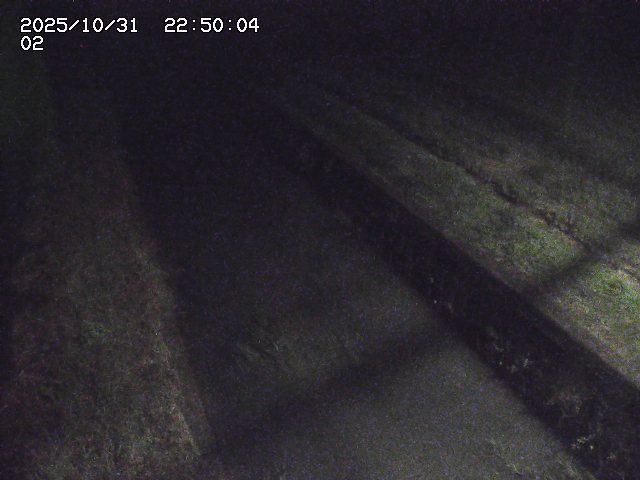 大倉川12025/11/01 0:00:00