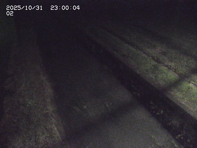 大倉川12025/11/01 0:00:00