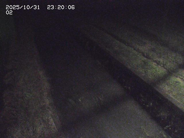 大倉川12025/11/01 0:00:00