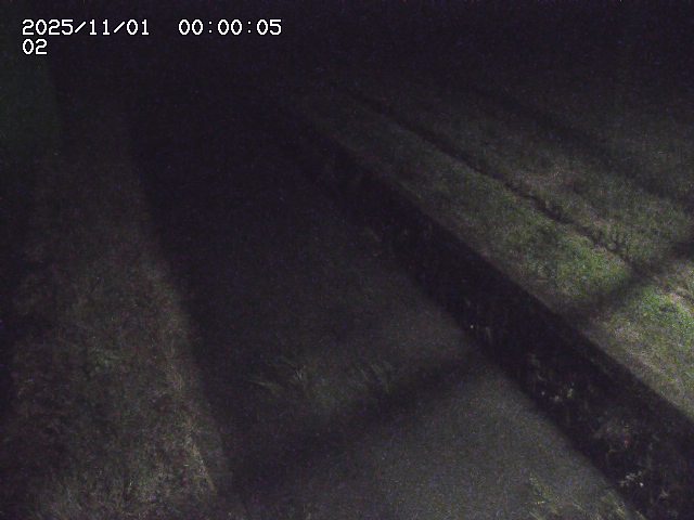 大倉川12025/11/01 0:00:00