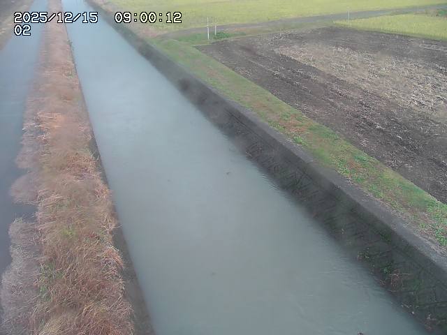 大倉川１2025/12/16 8:50:00