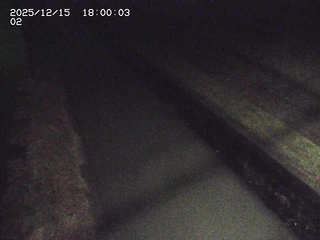 大倉川１2025/12/16 8:50:00