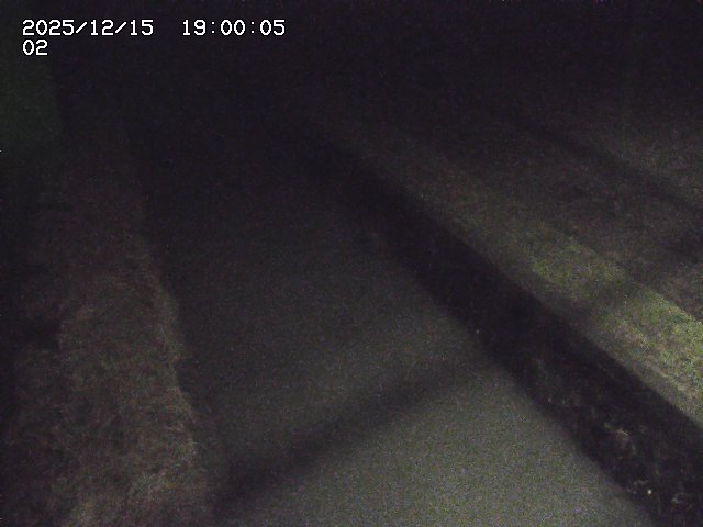 大倉川１2025/12/16 8:50:00