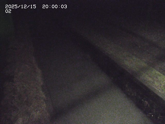 大倉川１2025/12/16 8:50:00