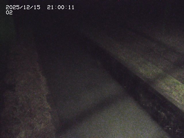 大倉川１2025/12/16 8:50:00