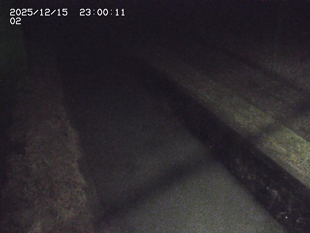 大倉川１2025/12/16 8:50:00