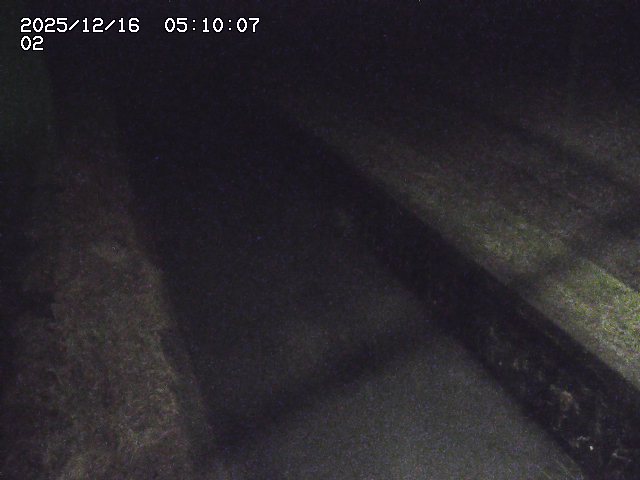 大倉川１2025/12/16 8:50:00