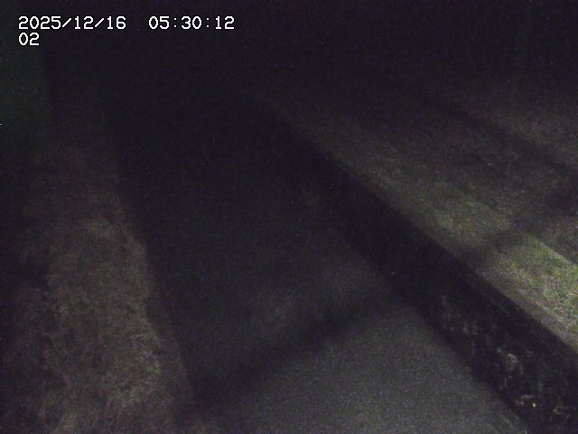 大倉川１2025/12/16 8:50:00