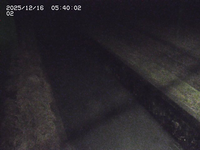 大倉川１2025/12/16 8:50:00