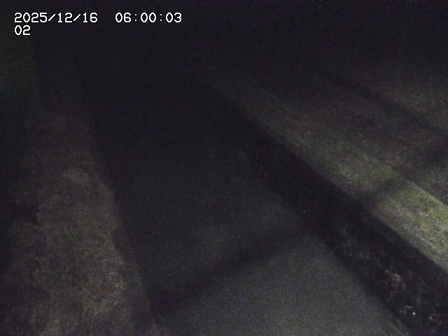 大倉川１2025/12/16 8:50:00