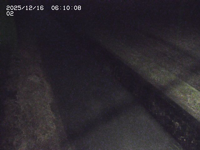 大倉川１2025/12/16 8:50:00