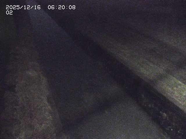 大倉川１2025/12/16 8:50:00