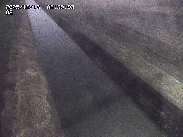 大倉川１2025/12/16 8:50:00