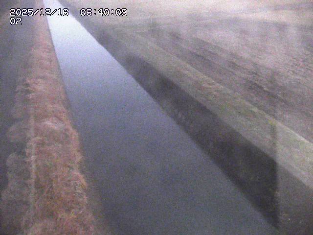 大倉川１2025/12/16 8:50:00