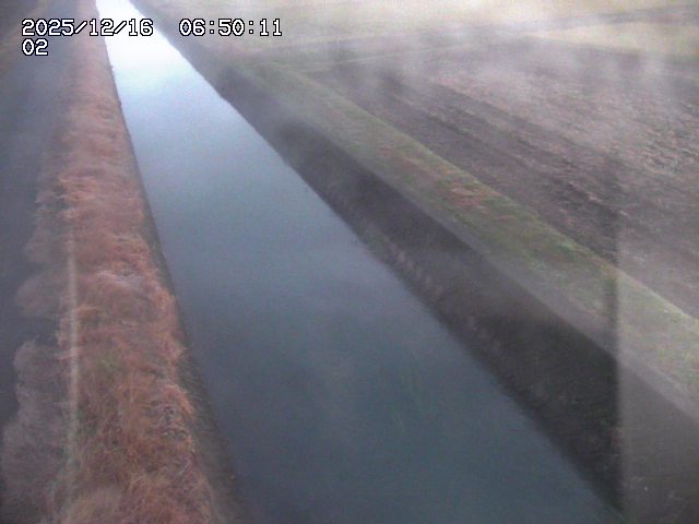 大倉川１2025/12/16 8:50:00