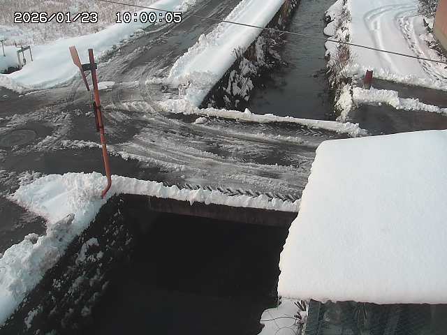 亀谷川２2026/01/24 2:00:00