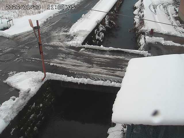 亀谷川２2026/01/24 2:00:00