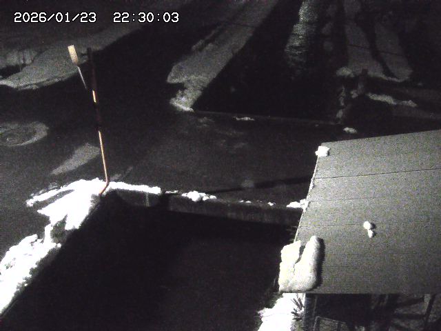 亀谷川２2026/01/24 2:00:00