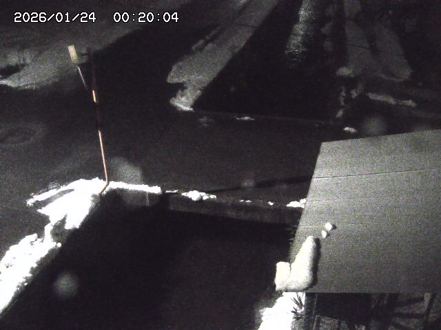 亀谷川２2026/01/24 2:00:00