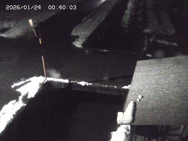 亀谷川２2026/01/24 2:00:00