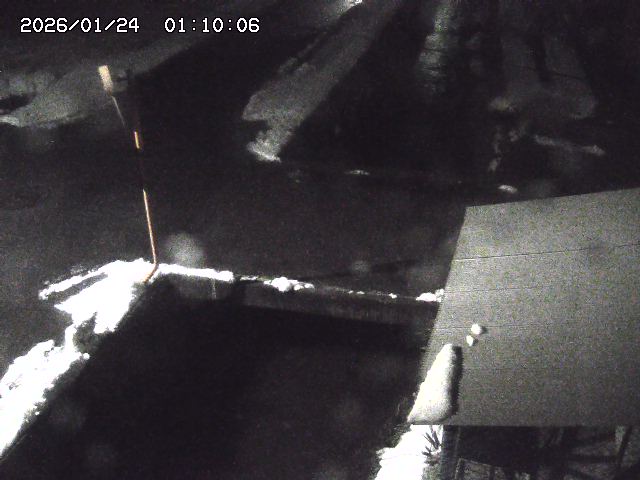 亀谷川２2026/01/24 2:00:00