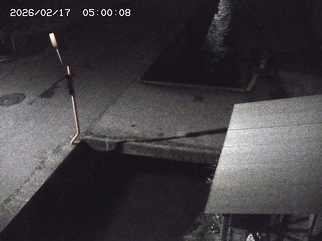 亀谷川２2026/02/17 18:20:00