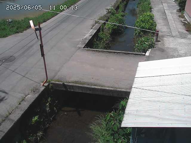 亀谷川２2025/06/06 1:30:00