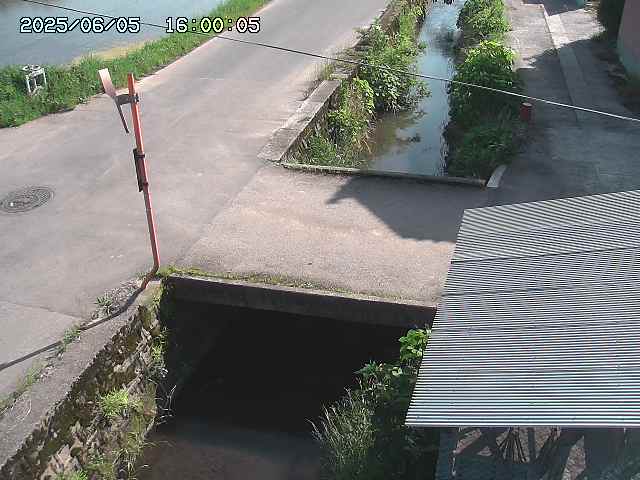 亀谷川２2025/06/06 1:30:00