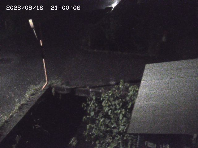 亀谷川２2026/08/17 20:40:00