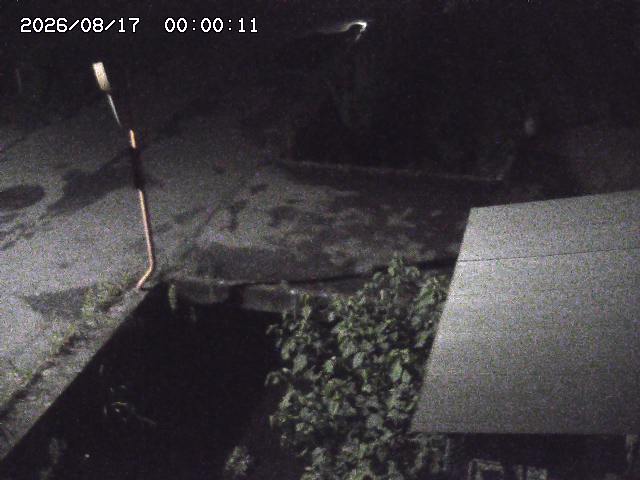 亀谷川２2026/08/17 20:40:00