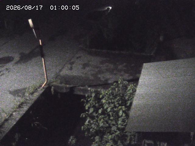 亀谷川２2026/08/17 20:40:00
