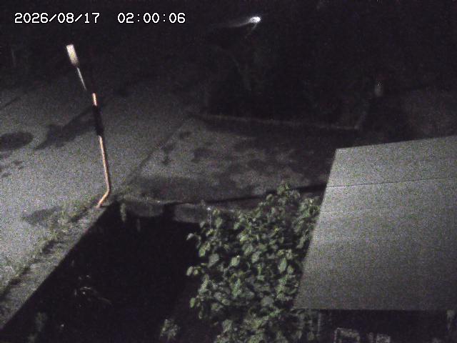 亀谷川２2026/08/17 20:40:00