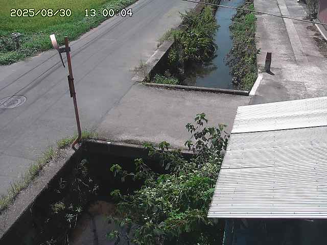 亀谷川２2025/08/31 9:20:00