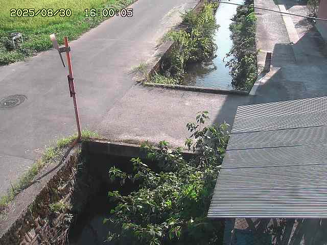 亀谷川２2025/08/31 9:20:00
