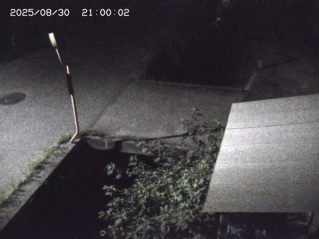 亀谷川２2025/08/31 9:20:00
