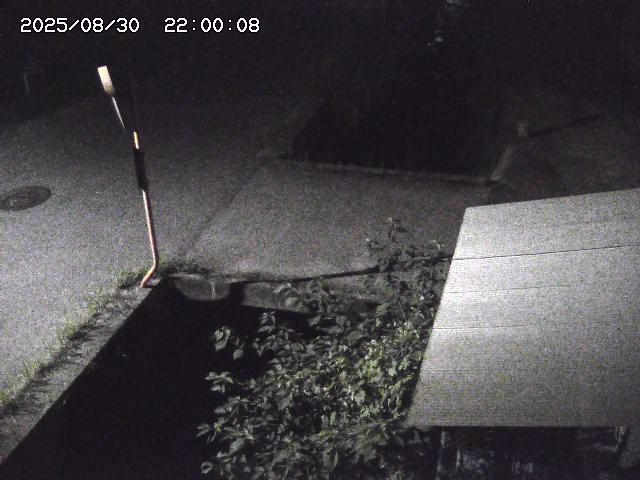 亀谷川２2025/08/31 9:20:00