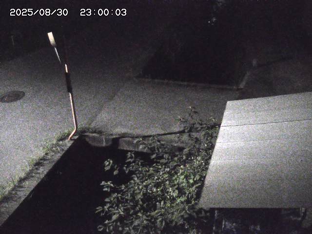 亀谷川２2025/08/31 9:20:00