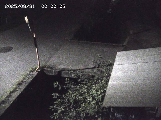 亀谷川２2025/08/31 9:20:00