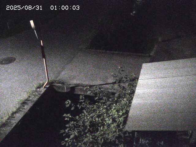 亀谷川２2025/08/31 9:20:00