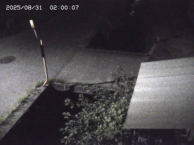 亀谷川２2025/08/31 9:20:00