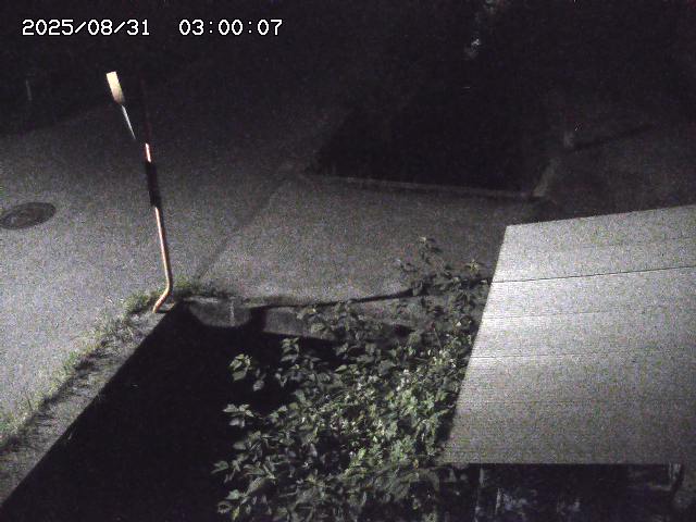 亀谷川２2025/08/31 9:20:00