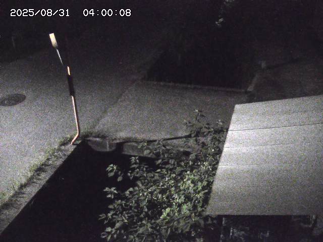 亀谷川２2025/08/31 9:20:00