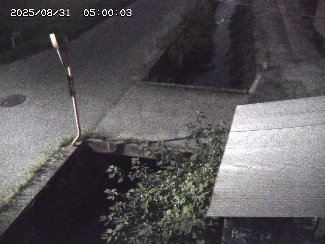 亀谷川２2025/08/31 9:20:00